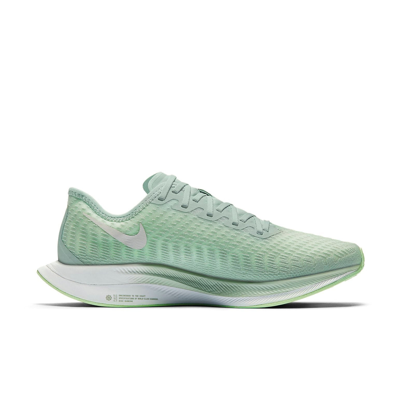 (WMNS) Nike Zoom Pegasus Turbo 2 AT8242-301
