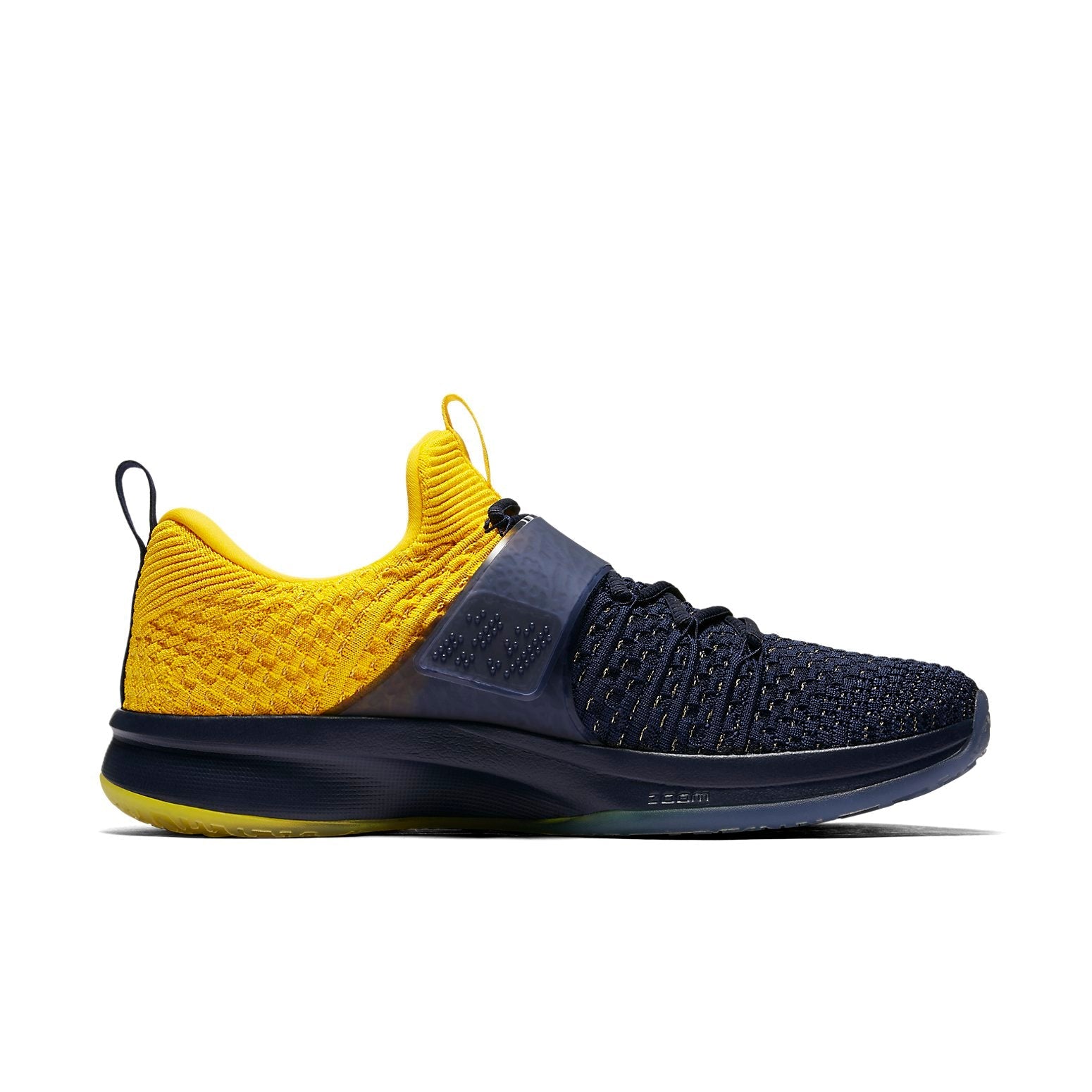 Air Jordan Trainer 2 Flyknit 'Michigan' 921210-407