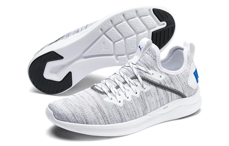 PUMA Ignite Flash EvoKNIT 'White Castlerock' 190508-28