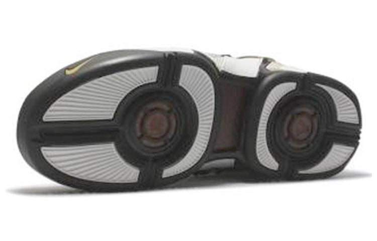 Nike Zoom LeBron 5 'Mr Basketball' 317253-101