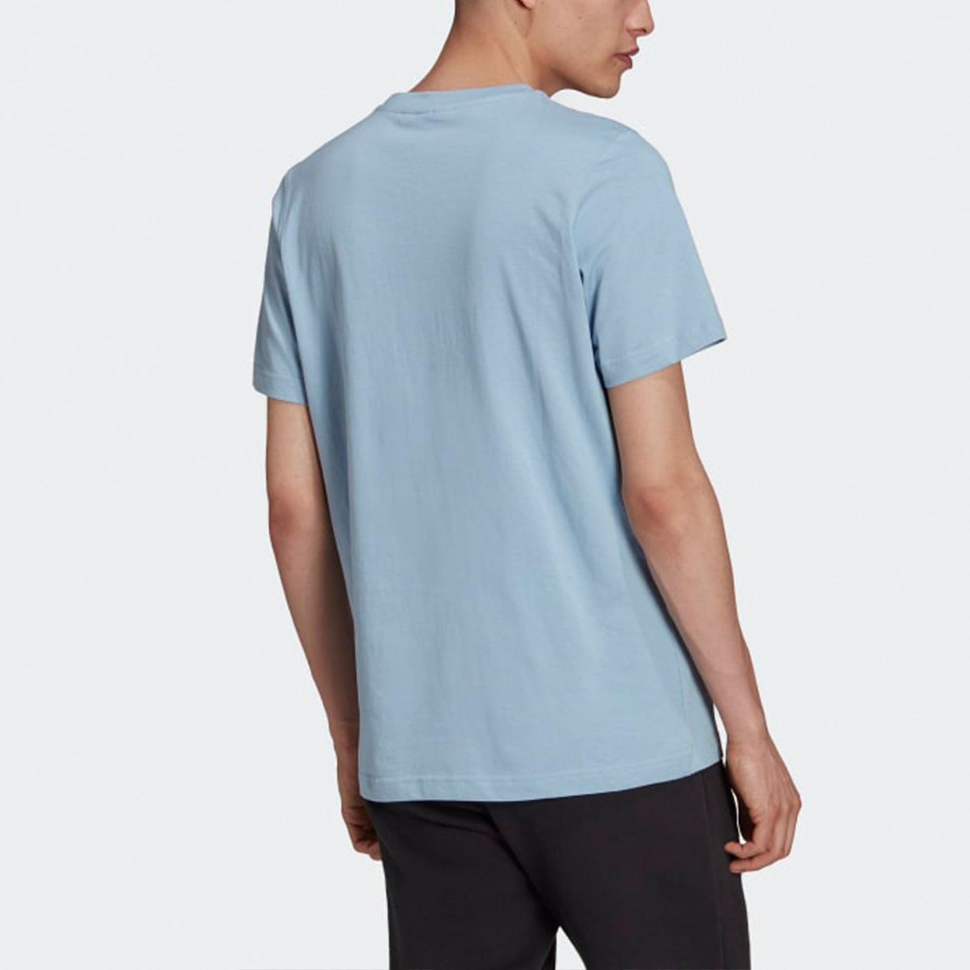 adidas originals Adicolor Classics Logo Tee H06638