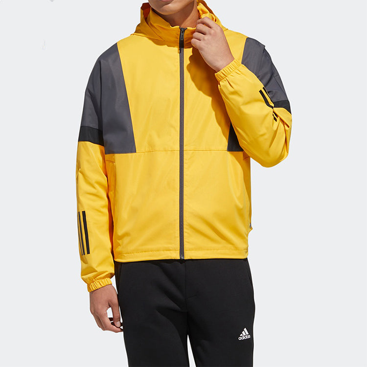 Men's adidas Sports Stylish Jacket Gold Color GP6402
