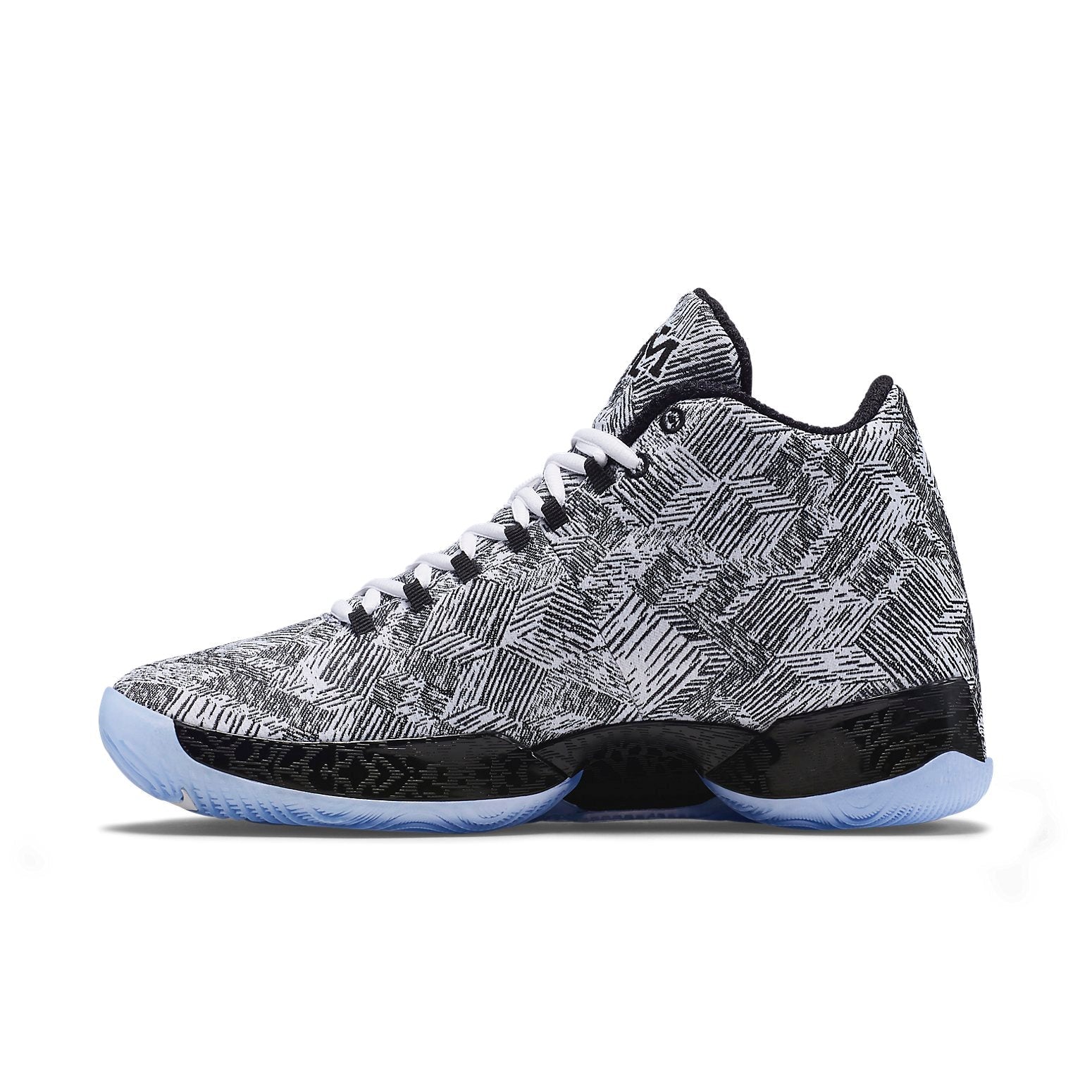Air Jordan 29 'Black History Month' 727133-110