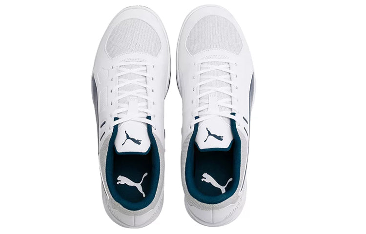 PUMA Auriz Indoor Grey 105600-02