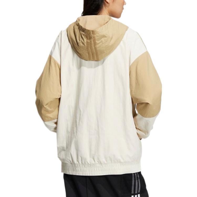 adidas neo Jacket IQ1577