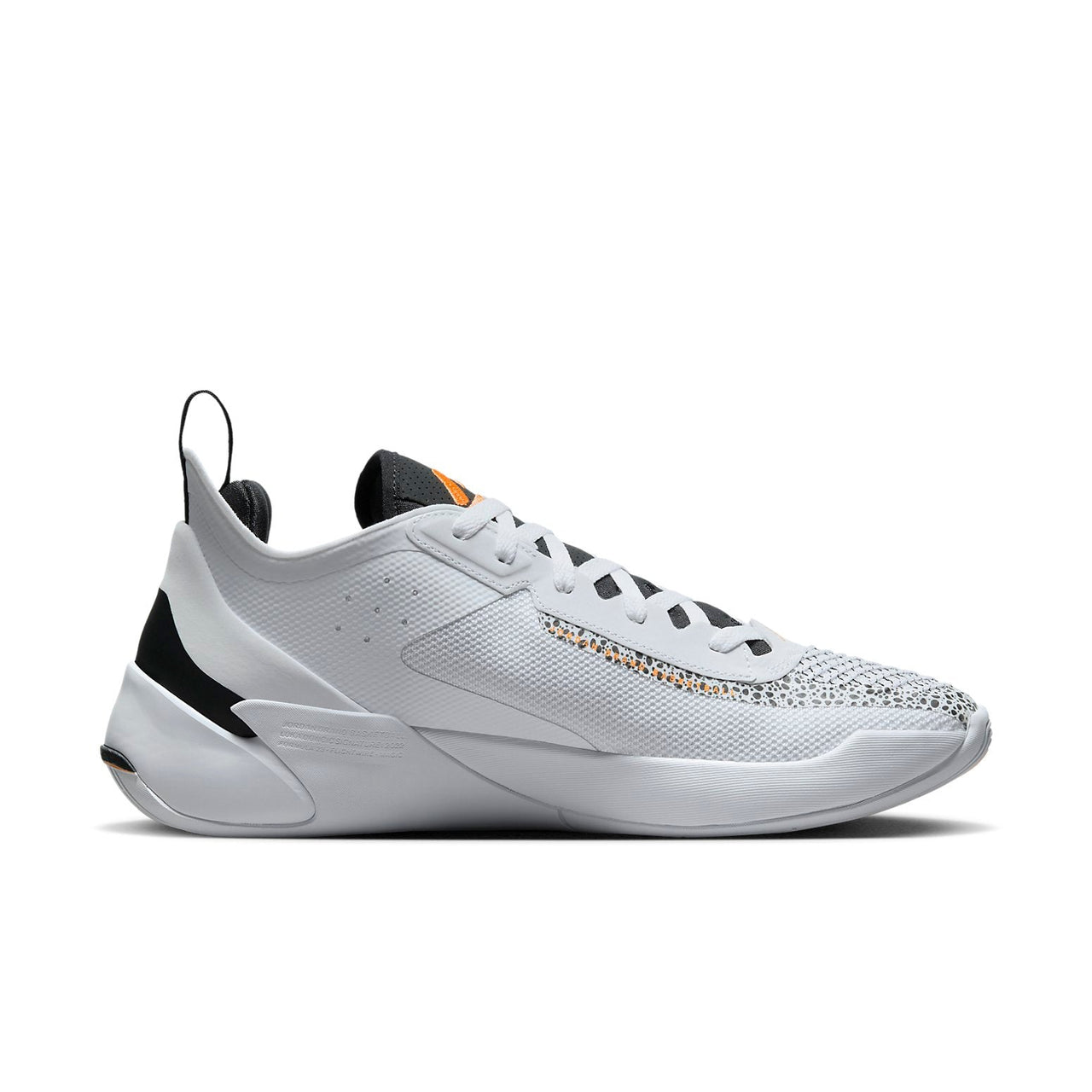 Air Jordan Luka 1 'Safari' DN1772-108