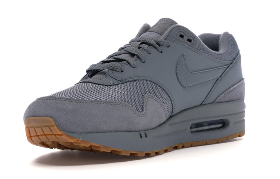 Nike Air Max 1 'Cool Grey' AH8145-005