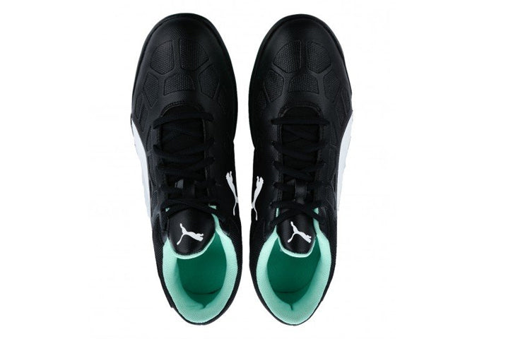 PUMA Tenaz Low-cut Black/Green 104889-04