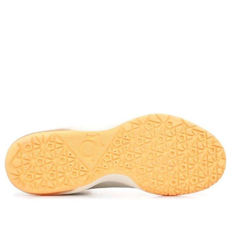 Nike KD 5 'Birch' 554988-200