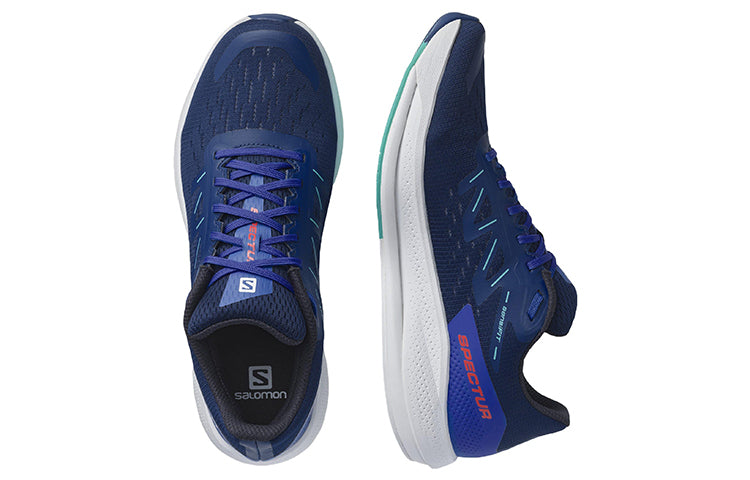 Salomon Spectur 415899