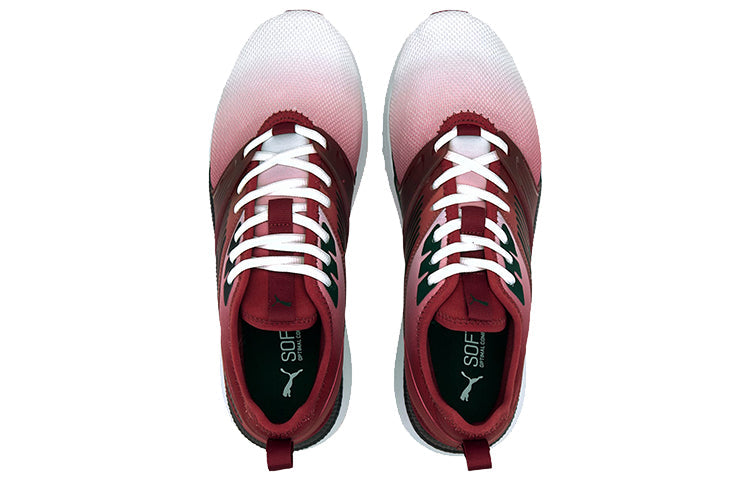 PUMA Pacer Next FFWD 'Gradient Pack - Red Dahlia Black' 374125-02
