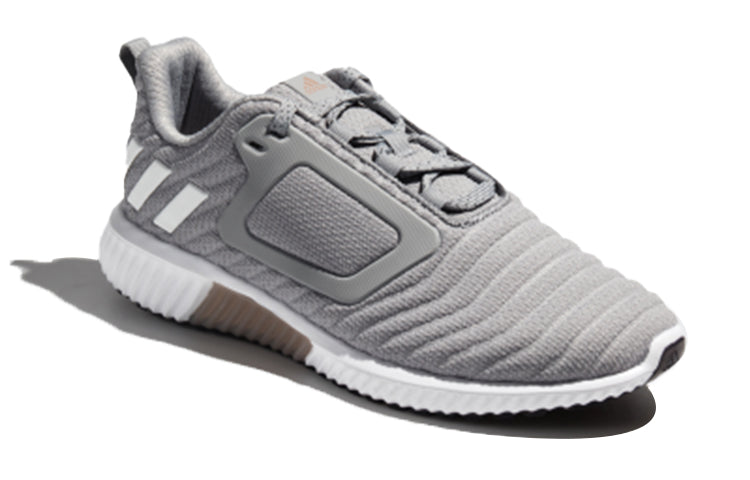 (WMNS) adidas Climawarm All Terrain Shoes Grey/White CG2735
