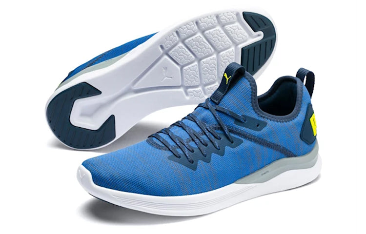 PUMA Ignite Flash evoKNIT 'Blue' 190508-26