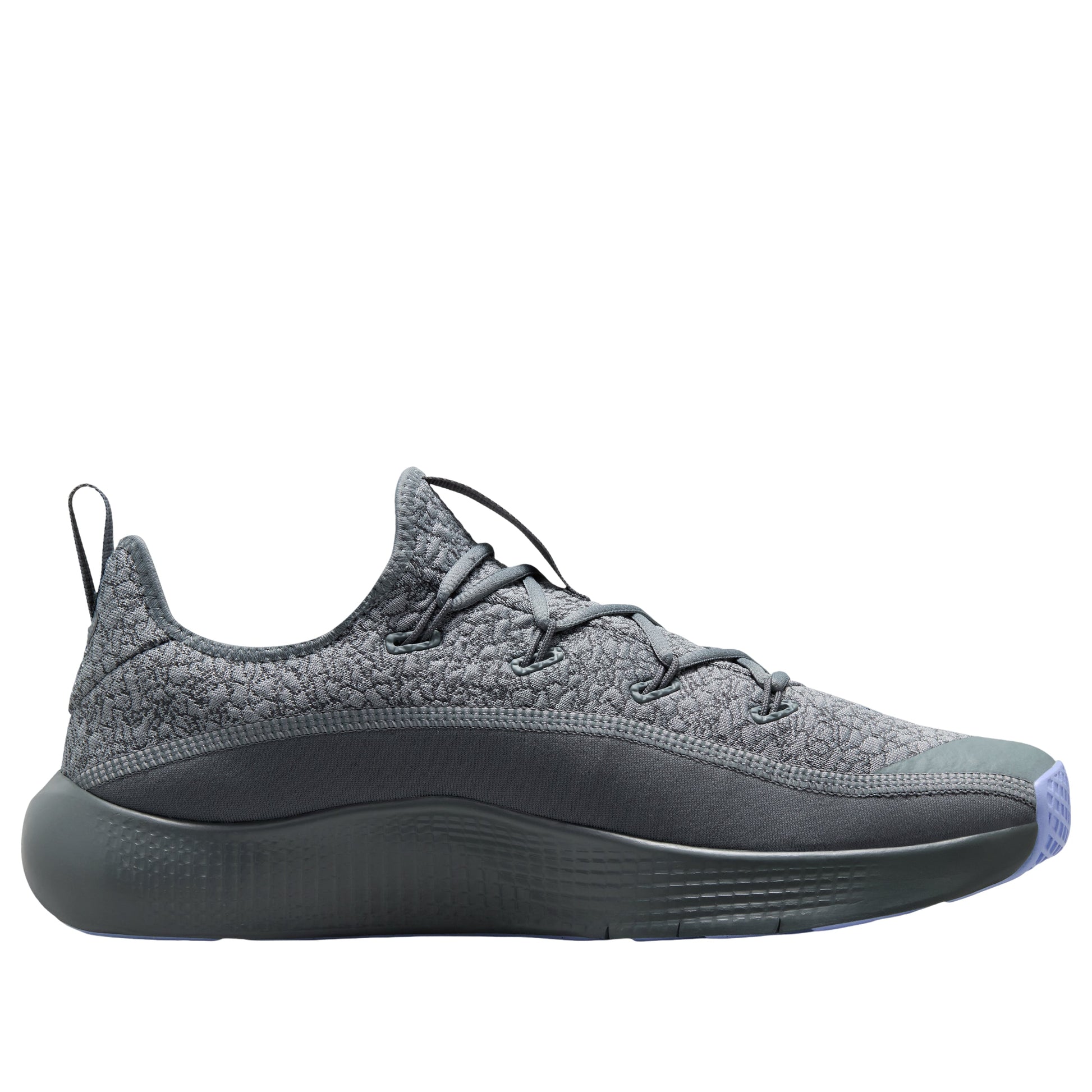 Nike LeBron TR 1 'Cool Gray Iron Gray Aluminum' FJ6151-008