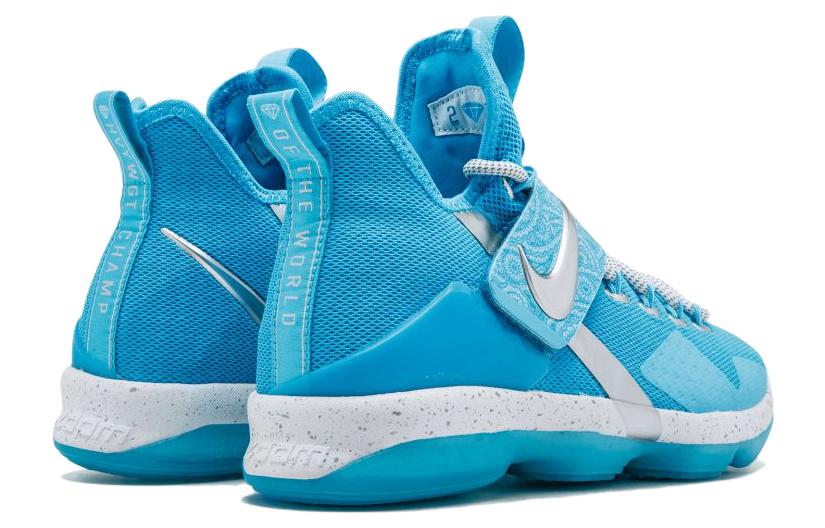 (GS) Nike LeBron 14 'The Nature Boy' AA3258-404
