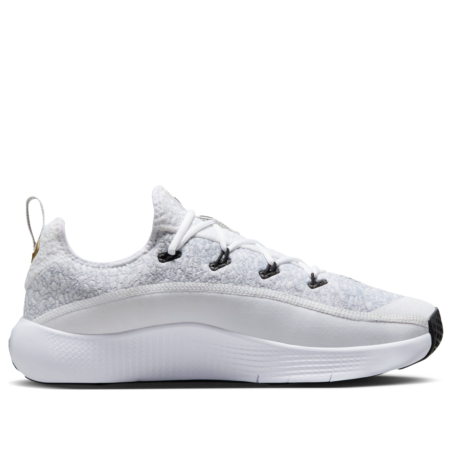 Nike LeBron TR 1 'Wolf Grey Metallic Gold' FJ6151-006