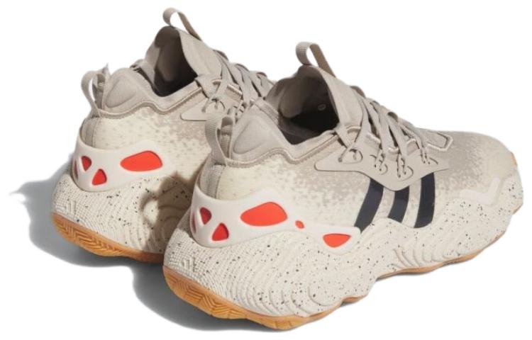 adidas Trae Young 3 'Wonder Beige' IF5602
