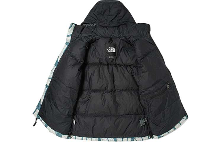 THE NORTH FACE 1996 Retro Nuptse 700 NF0A5IX4-537