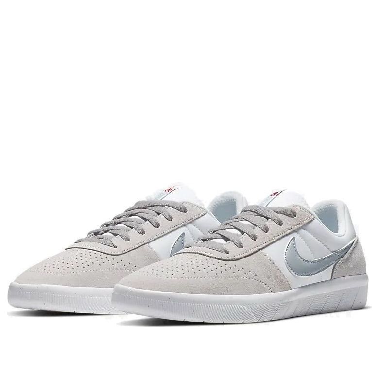 Nike Team Classic SB 'Vast Grey' AH3360-009