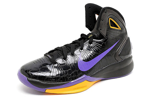 Nike Hyperdunk 2010 'Varsity Purple Del Sol' 407625-003