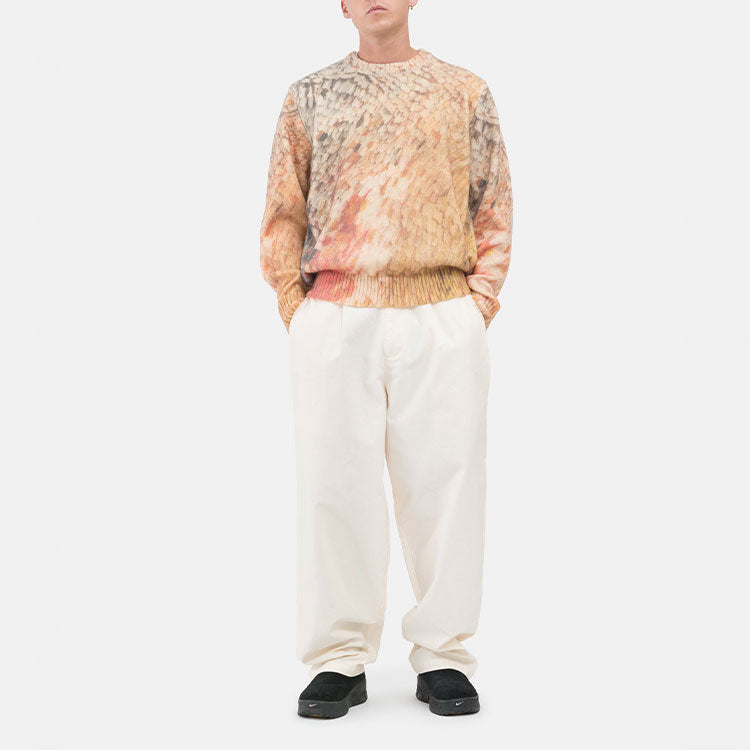 Stussy Wings Print Sweater 'Multi' 117098