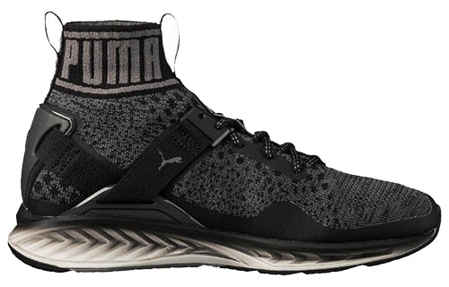 PUMA Ignite evoKnit 'Asphalt Quiet Shade' 189895-01