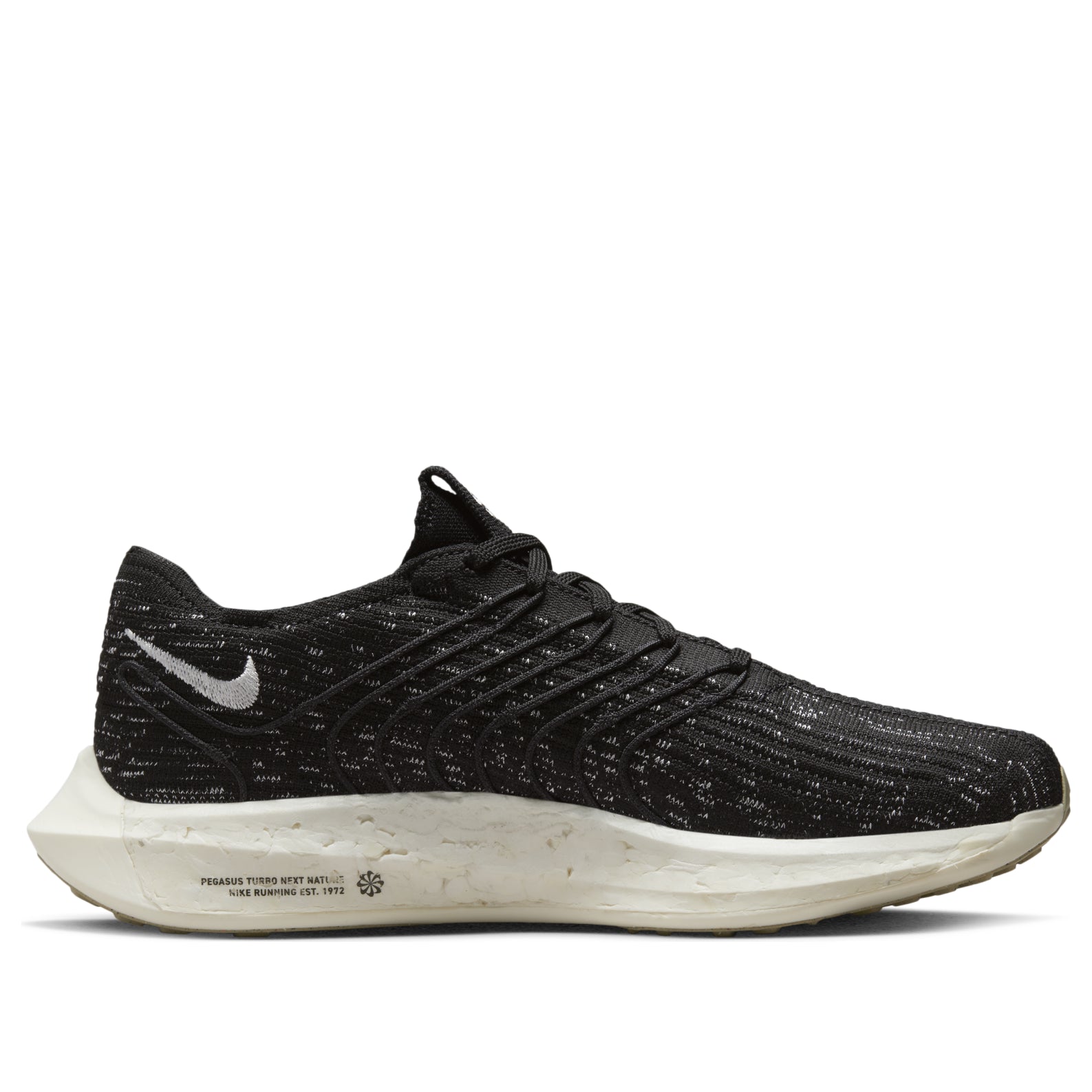 Nike Pegasus Turbo Next Nature 'Black Off-Noir' DM3413-001