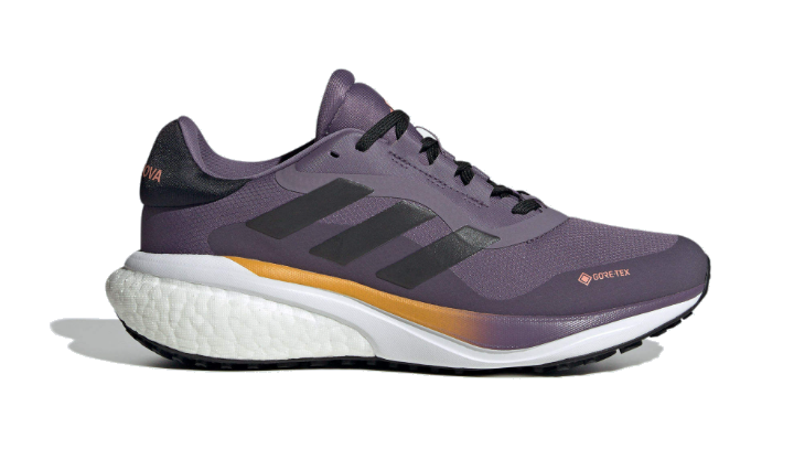 (WMNS) adidas Supernova 3 GTX 'Shadow Navy' HQ1807