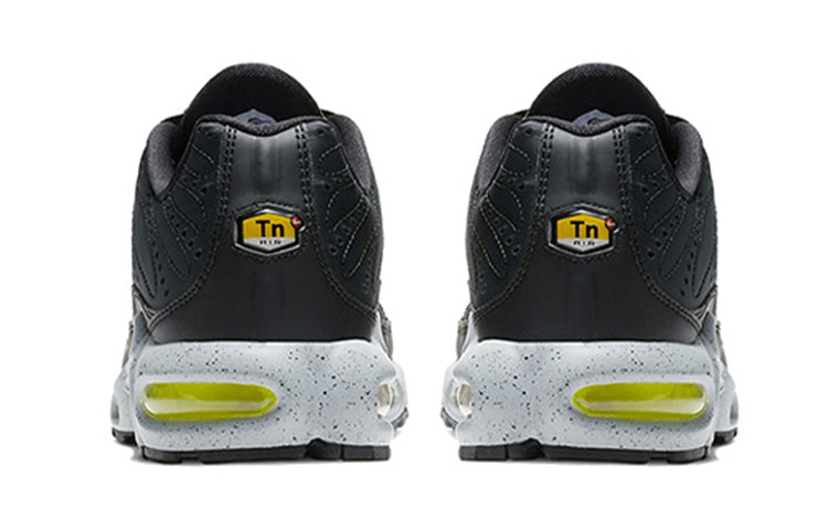 Nike Air Max Plus Premium 'Matte Silver' 815994-003