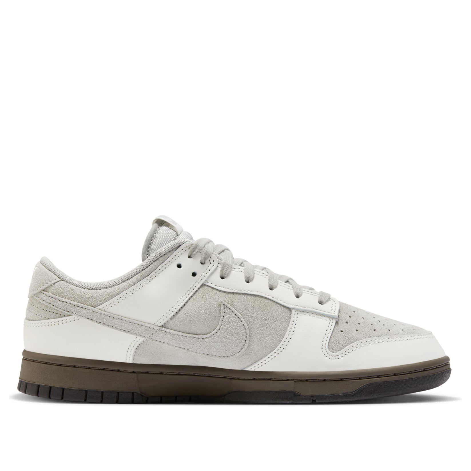 Nike Dunk Low 'Ironstone' FD9746-001