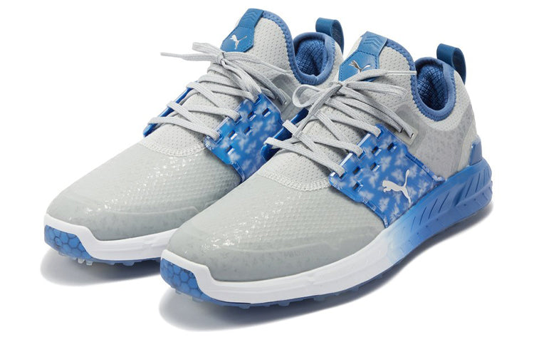 PUMA Ignite Articulate Pollination 'Gray Blue' 376413-01