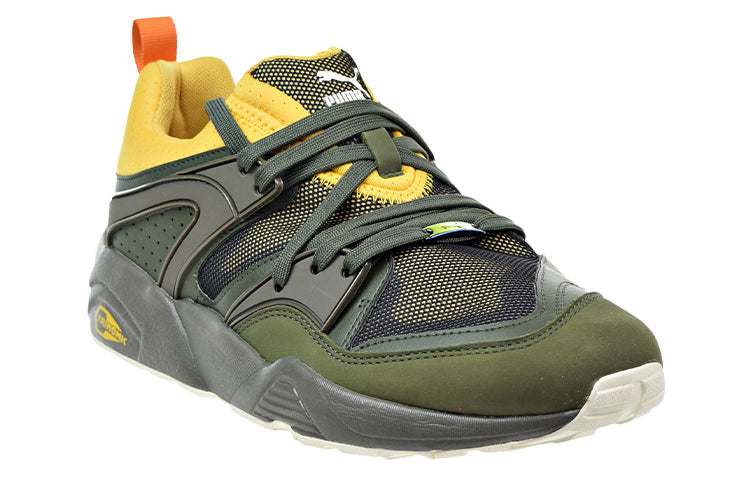 PUMA Blaze Of Glory Green Low Tops Sports Shoe 361408-03