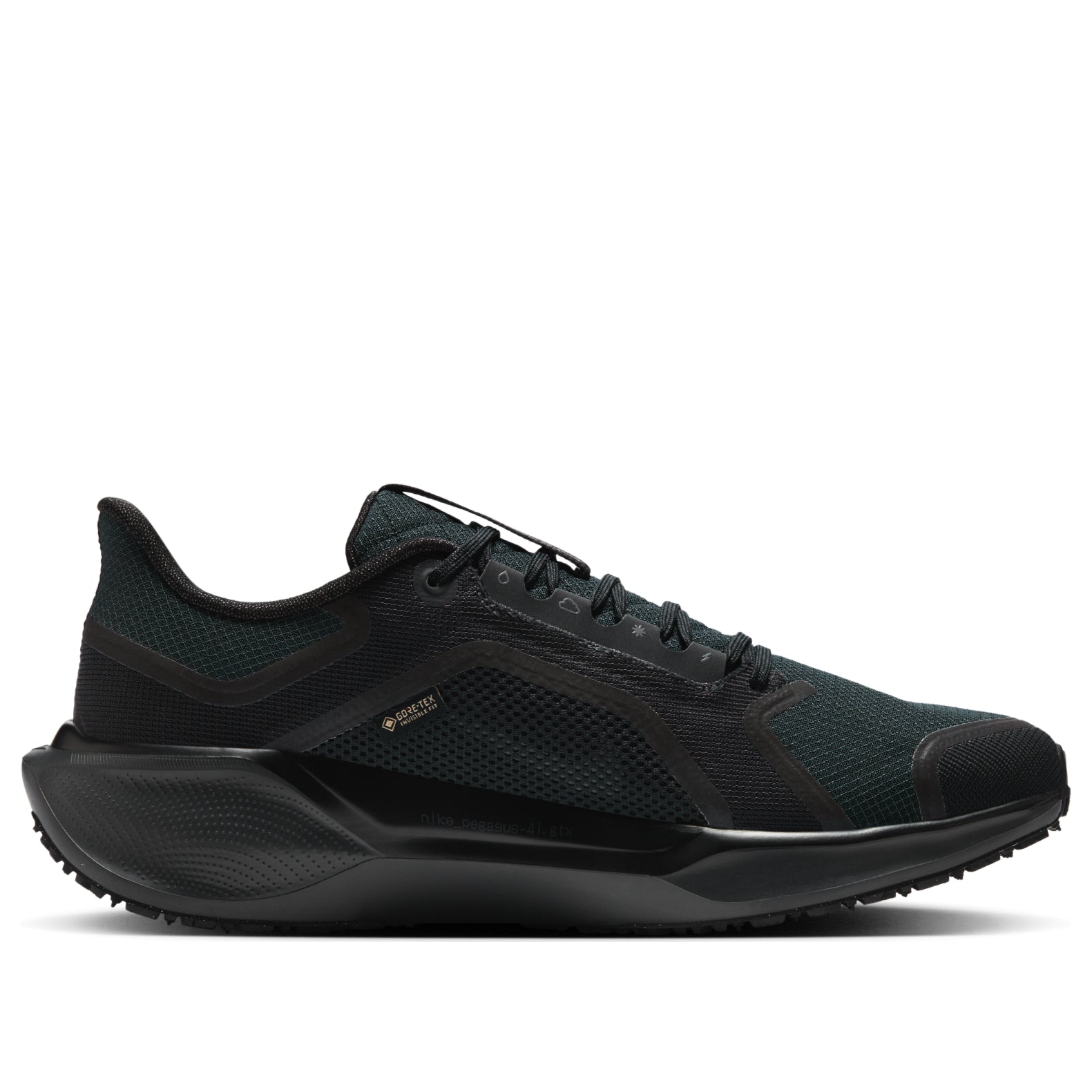 Nike Air Zoom Pegasus 41 Gore-Tex 'Black Anthracite' FQ1356-001