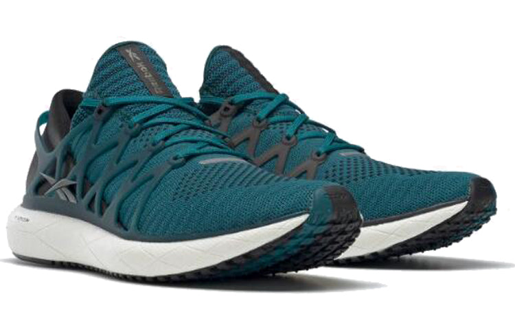 Reebok Floatride Run 2 EH0974
