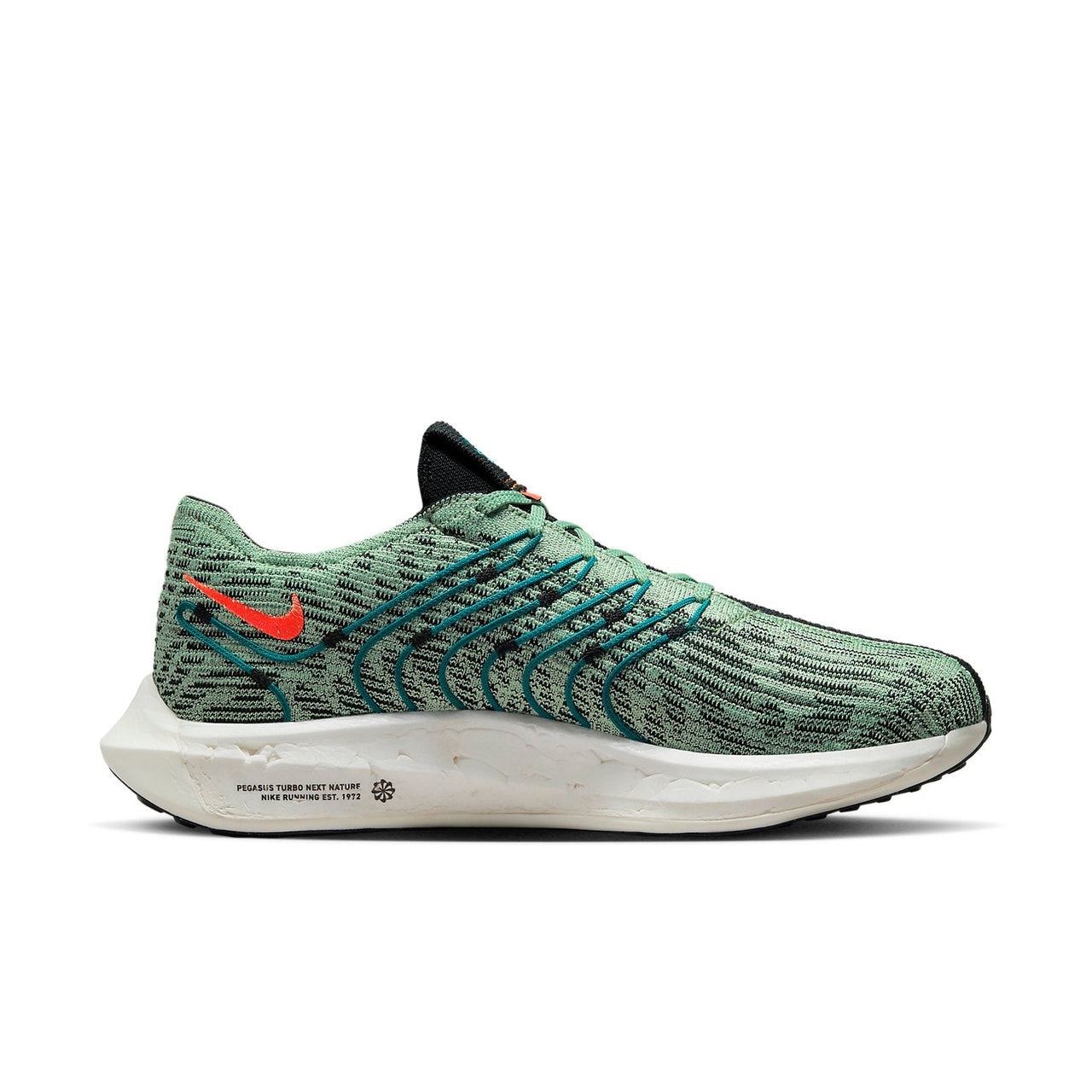 Nike Pegasus Turbo Next Nature '5 Borough Tour' DZ4850-300