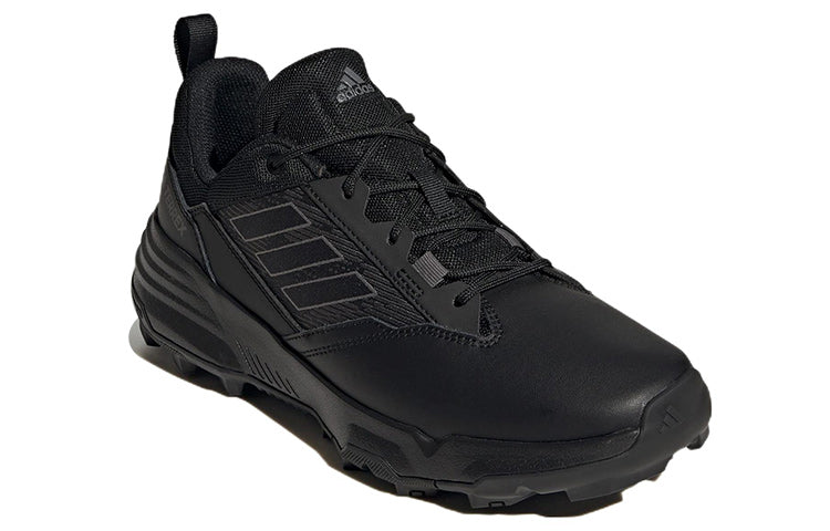 adidas Terrex Unity Lea Low 'Black' GZ3339