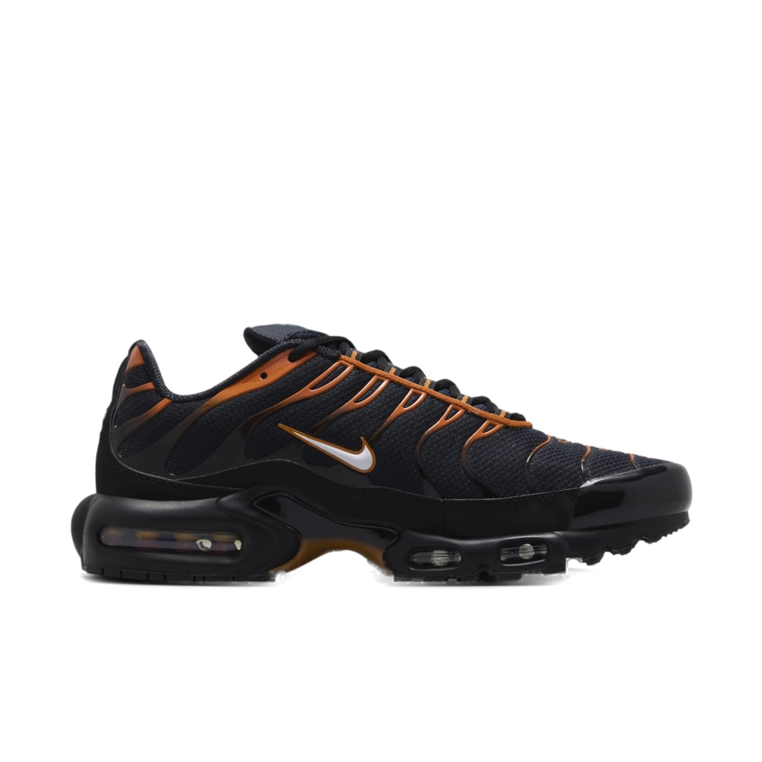 Nike Air Max Plus 'Dark Obsidian Monarch' FN6949-400