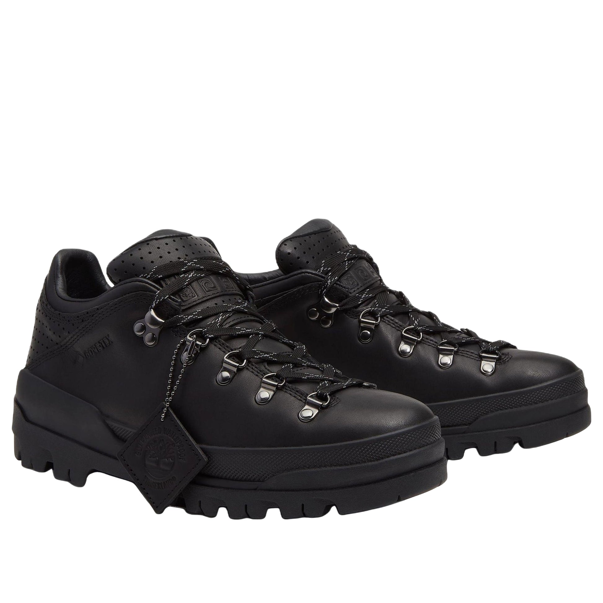 Timberland World Hiker with GORE-TEX Membrane 'Black' TB0A418GW02