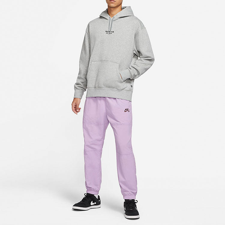 Men's Nike SB Embroidered Logo Skateboard Sports Gray DA4265-063