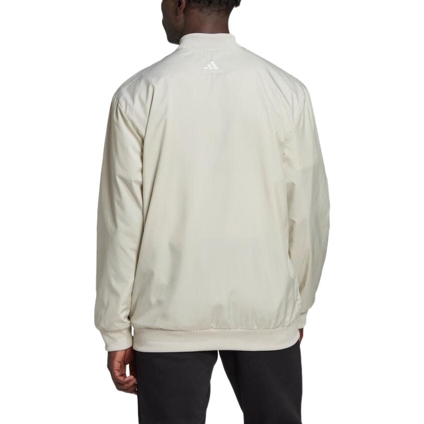 adidas AEROREADY Essentials Giant Logo Woven Windbreaker Jacket 'Aluminium' HL6922