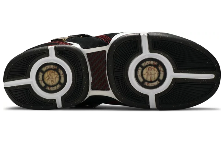 Nike Zoom LeBron 5 'Fearless' 317253-011
