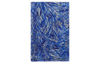 Loro Piana Shawls Women's Blue