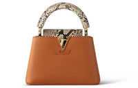 LOUIS VUITTON Capucines Python Skin Capusin Shoulder Crossbody Handbag Mini Women's Gold