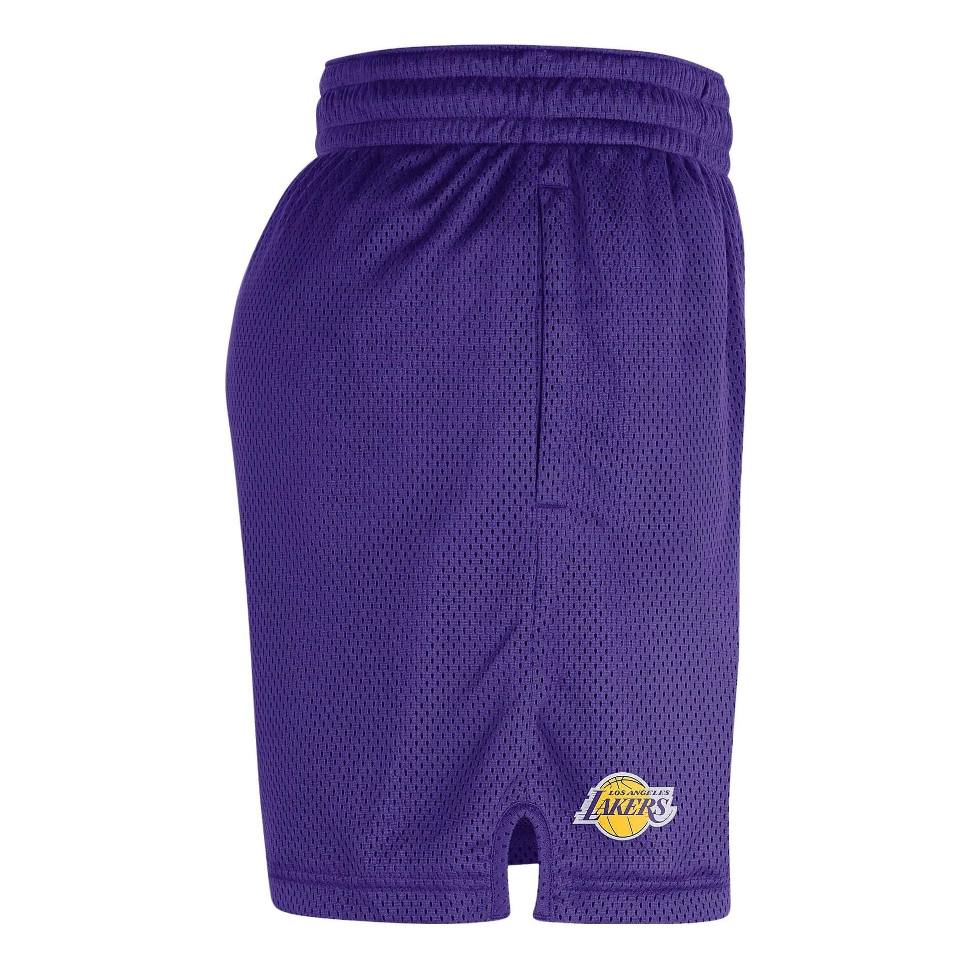 Nike NBA Los Angeles Lakers Shorts 'Purple' DN4629-504