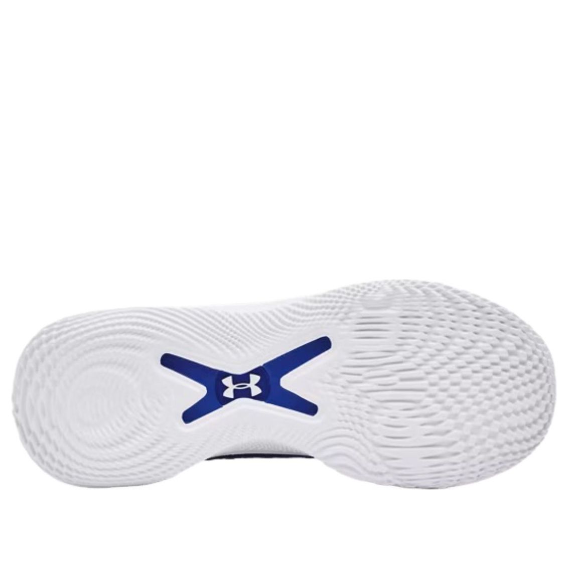 Under Armour Curry Flow 10 Team 'Team Royal' 3026624-401