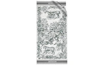 DIOR Shawls Women's
