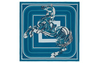 HERMES Silk Scarves Men's Silk Scarf