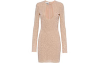 MIU MIU Embroidered Georgette Mini Dress