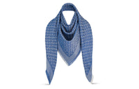 LOUIS VUITTON Shawls Women's Blue