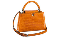 LOUIS VUITTON Capucines Handbags
